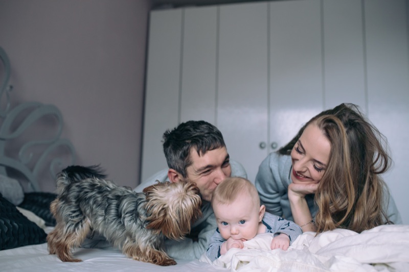 Parents on the bed with their baby and the family dog